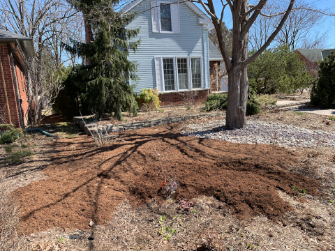 Applying cedar - early April