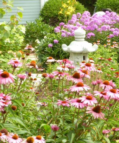 Garden care leads to beauty lovely flowered garden with Japanese stone lantern