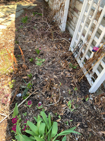 Open gardens by removing debris