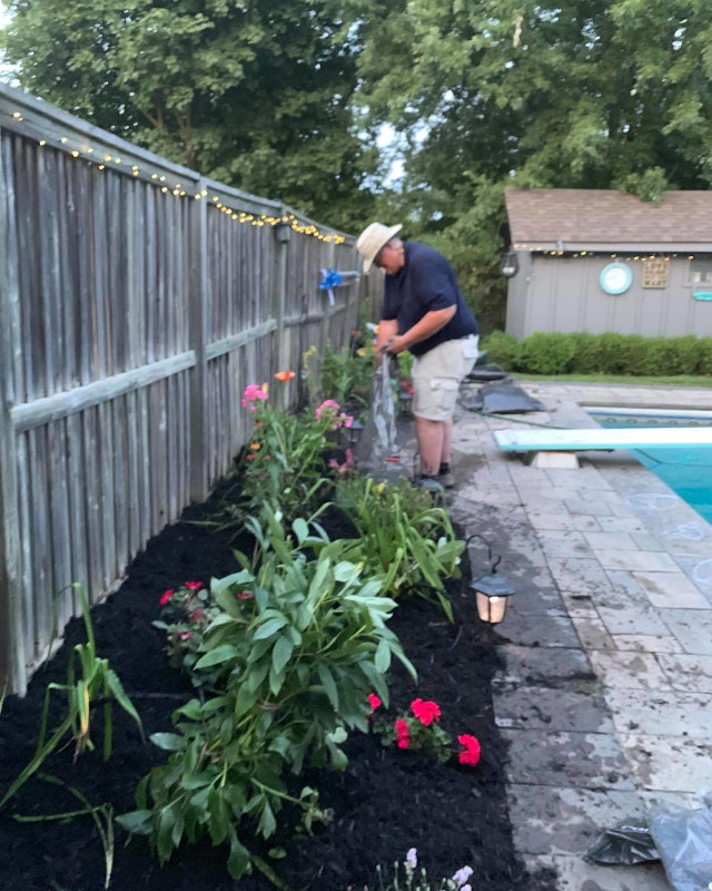 pool side garden